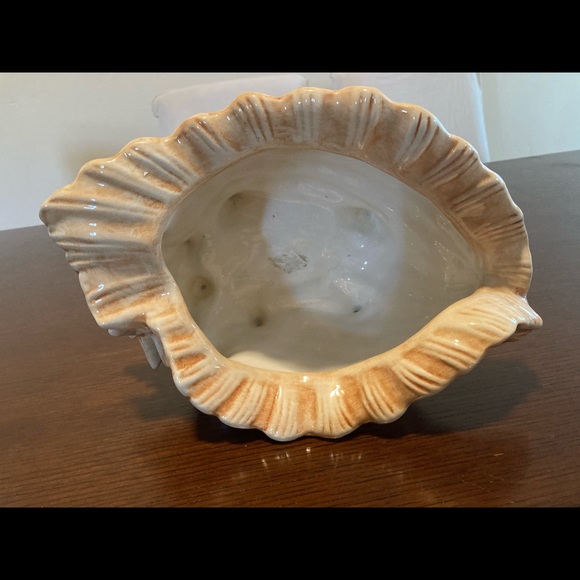 Glass shell decor - Picture 2 of 3